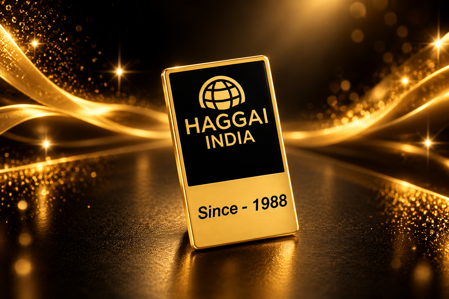 Cover of Lapel Pins
